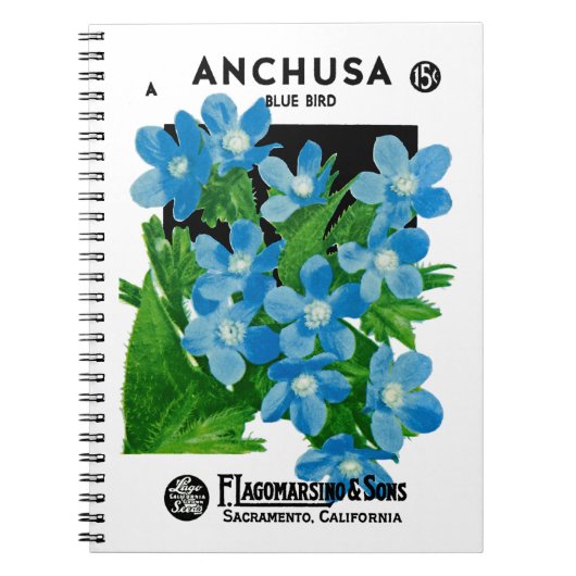 Carnet Étiquette de paquets de semences Anchusa (Devant)