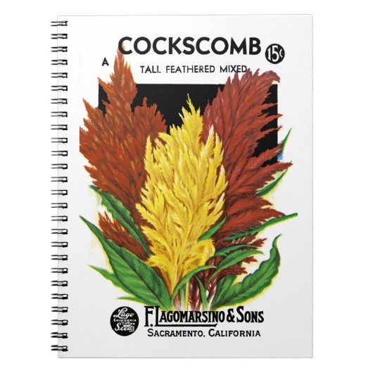Carnet Étiquette de paquets de semences Cockscomb (Devant)