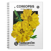 Carnet Étiquette de paquets de semences Coreopsis (Devant)