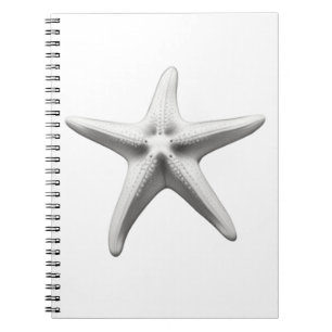 Carnet Étoile de mer noire et blanche