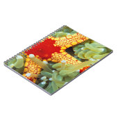 Carnet Étoile de mer rouge et jaune (Côté gauche)