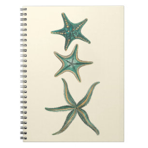 Carnet Étoiles de mer triples bleu vert