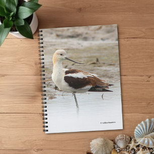 Carnet Étonnant oiseau à pattes à la plage américain Avoc