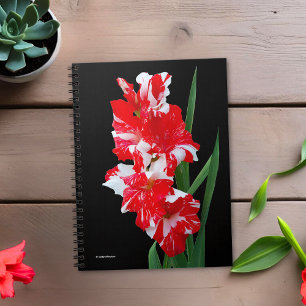 Carnet Étonnante Lys d'épée de Gladiolus rouge et blanc