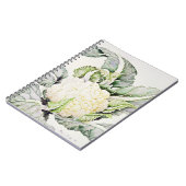 Carnet Étude 1993 de chou-fleur (Côté gauche)