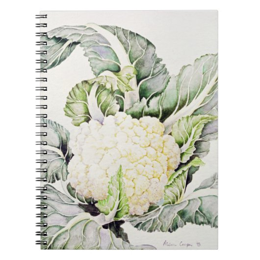 Carnet Étude 1993 de chou-fleur (Devant)