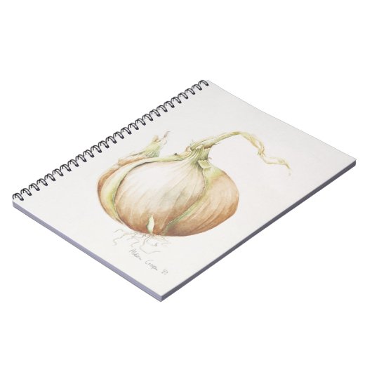 Carnet Étude 1993 d'oignon (Côté gauche)