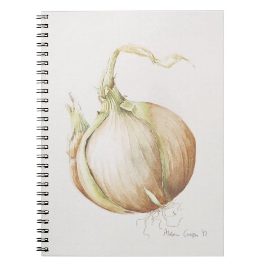 Carnet Étude 1993 d'oignon (Devant)