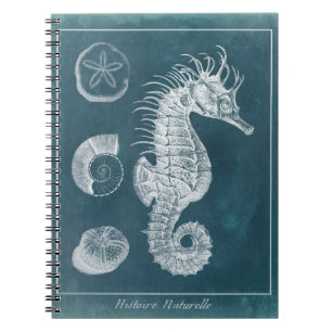 Carnet Étude azurée I d'hippocampe