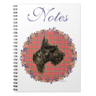 Carnet Étude de tête sur tartan