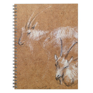 Carnet Étude des chèvres (dessin)