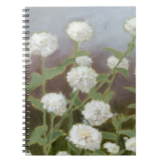 Carnet Étude du jardin botanique I (Devant)