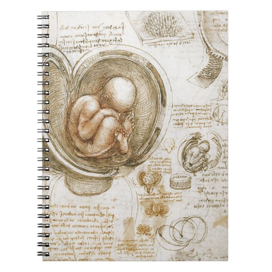 Carnet Études de Leonardo da Vinci du foetus dans (Devant)