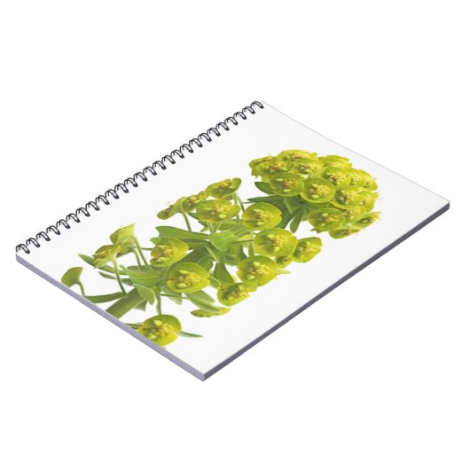 Carnet Euphorbe (Côté gauche)