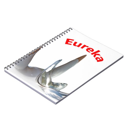 Carnet Eureka (Côté gauche)