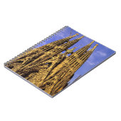 Carnet Europe, Espagne, Barcelone, Sagrada Familia (Côté gauche)