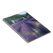 Carnet Europe, France, Provence. Champs de Lavander (Côté Droit)