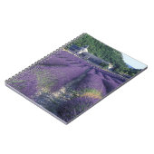 Carnet Europe, France, Provence. Champs de Lavander (Côté gauche)