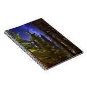 Carnet Evergreens Au Feu De La Lune (Côté Droit)