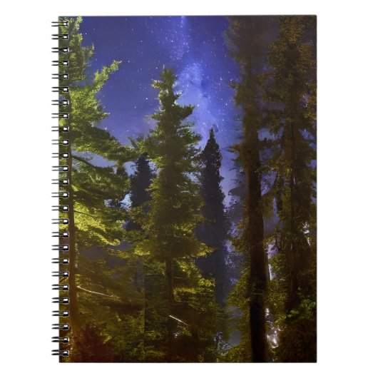 Carnet Evergreens Au Feu De La Lune (Devant)