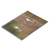 Carnet Évitez la poussette (Côté gauche)