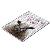 Carnet Ewe Regard Me DeNiro Mouton 2 (Côté gauche)