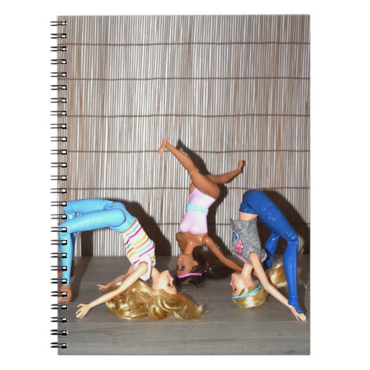 Carnet Exercices de gym. (Devant)