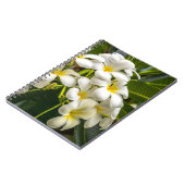 Carnet exotique de Plumeria d'île (Côté gauche)
