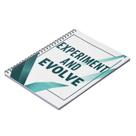 Carnet Expérience et évolution, option 2 (Côté gauche)