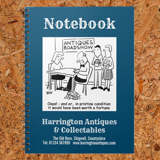 Carnet Expert laisse tomber un objet antique de valeur. C