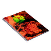 Carnet explorateur de moustiques (Côté Droit)