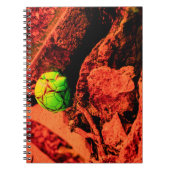 Carnet explorateur de moustiques (Devant)