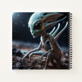 Carnet Extraterrestre (Dos)