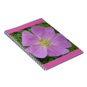 Carnet F11 Rose sauvage "Rosa arkansana" (Côté Droit)