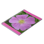 Carnet F11 Rose sauvage "Rosa arkansana" (Côté gauche)