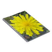 Carnet F16 Jaune Roi diable Fleur sauvage (Côté Droit)