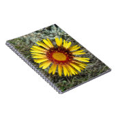 Carnet F1 Gaillardia fleur sauvage jaune (Côté Droit)
