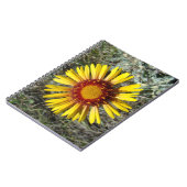 Carnet F1 Gaillardia fleur sauvage jaune (Côté gauche)