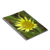 Carnet F41 Jaune Barbe de Bouc Fleur Sauvage (Côté Droit)