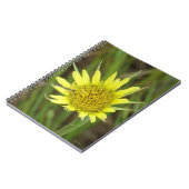 Carnet F41 Jaune Barbe de Bouc Fleur Sauvage (Côté gauche)