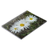 Carnet F42 Fleurs sauvages blanches Aster lisse (Côté gauche)