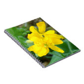 Carnet F44 Fleur sauvage jaune moutarde sauvage (Côté Droit)
