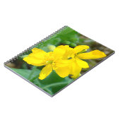 Carnet F44 Fleur sauvage jaune moutarde sauvage (Côté gauche)