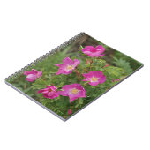 Carnet F46 Roses sauvages (Côté gauche)