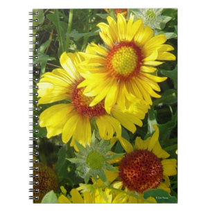 Carnet F6 Fleurs sauvages jaunes Gaillardia