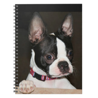 Carnet Face de Boston Terrier