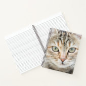 Carnet Face de chat (Intérieur)