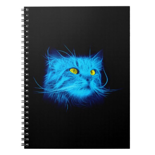 Carnet Face de chat bleu (Devant)