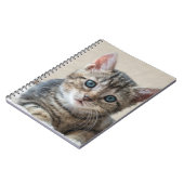 Carnet Face de chat mignonne (Côté gauche)