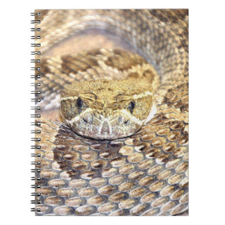 Carnet Face de sonnerie